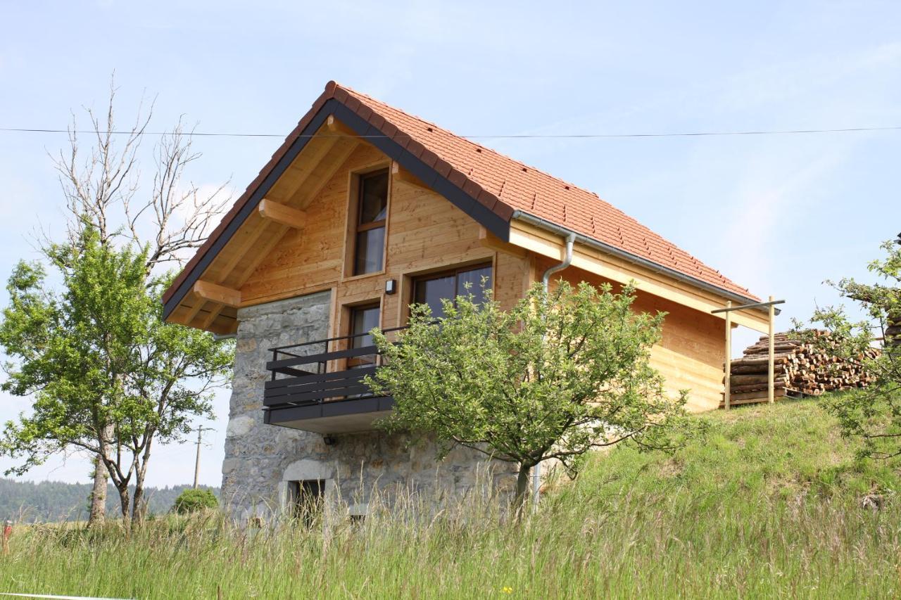 Le Chalet Des Pierres Viuz-en-Sallaz Zewnętrze zdjęcie