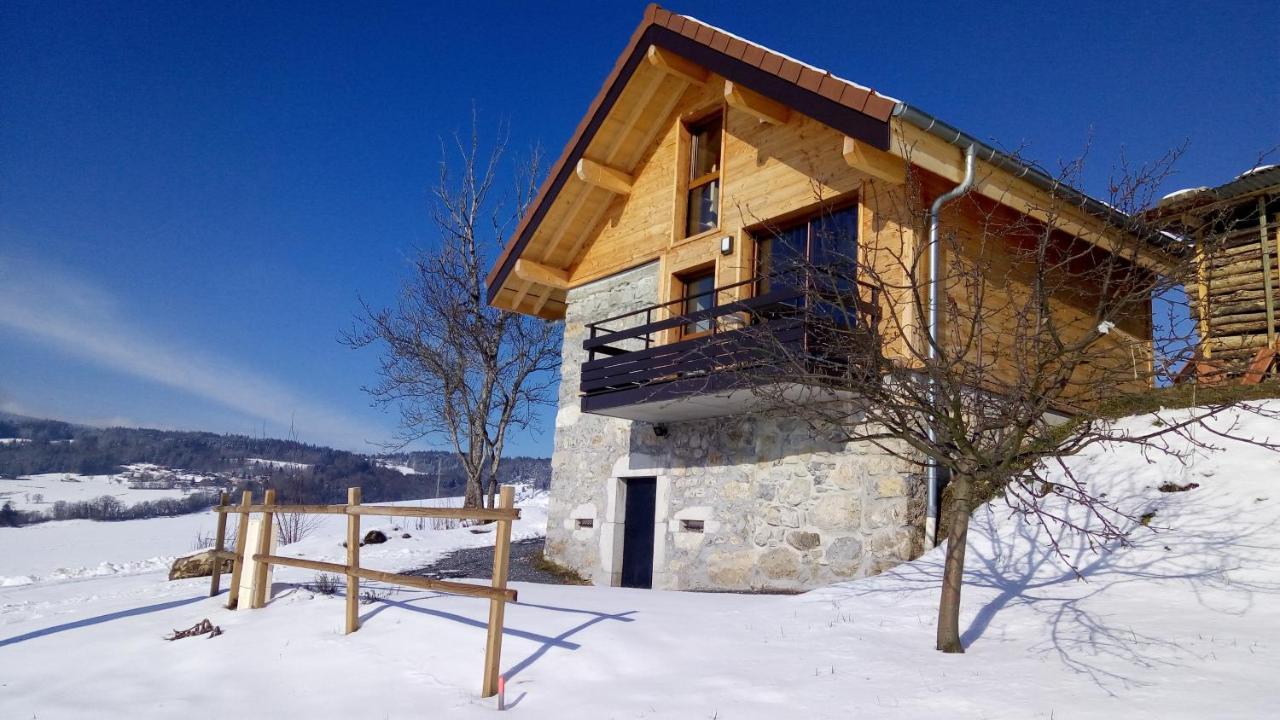Le Chalet Des Pierres Viuz-en-Sallaz Zewnętrze zdjęcie